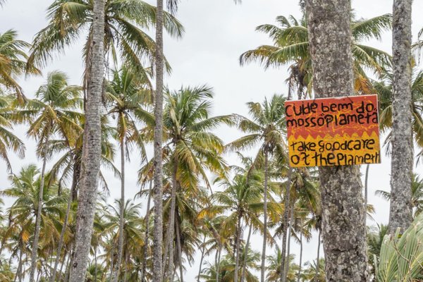 Décryptage : les interactions cruciales entre écologie et changement climatique