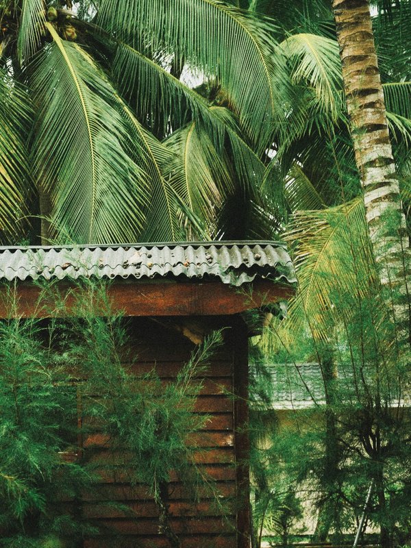 Actualité gabon : les dernières infos à ne pas manquer